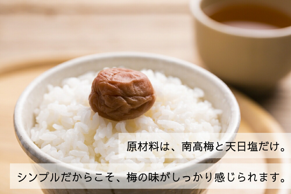 EP6024_【常温保管可能 】ミネラル豊かな天日塩だけで漬けた