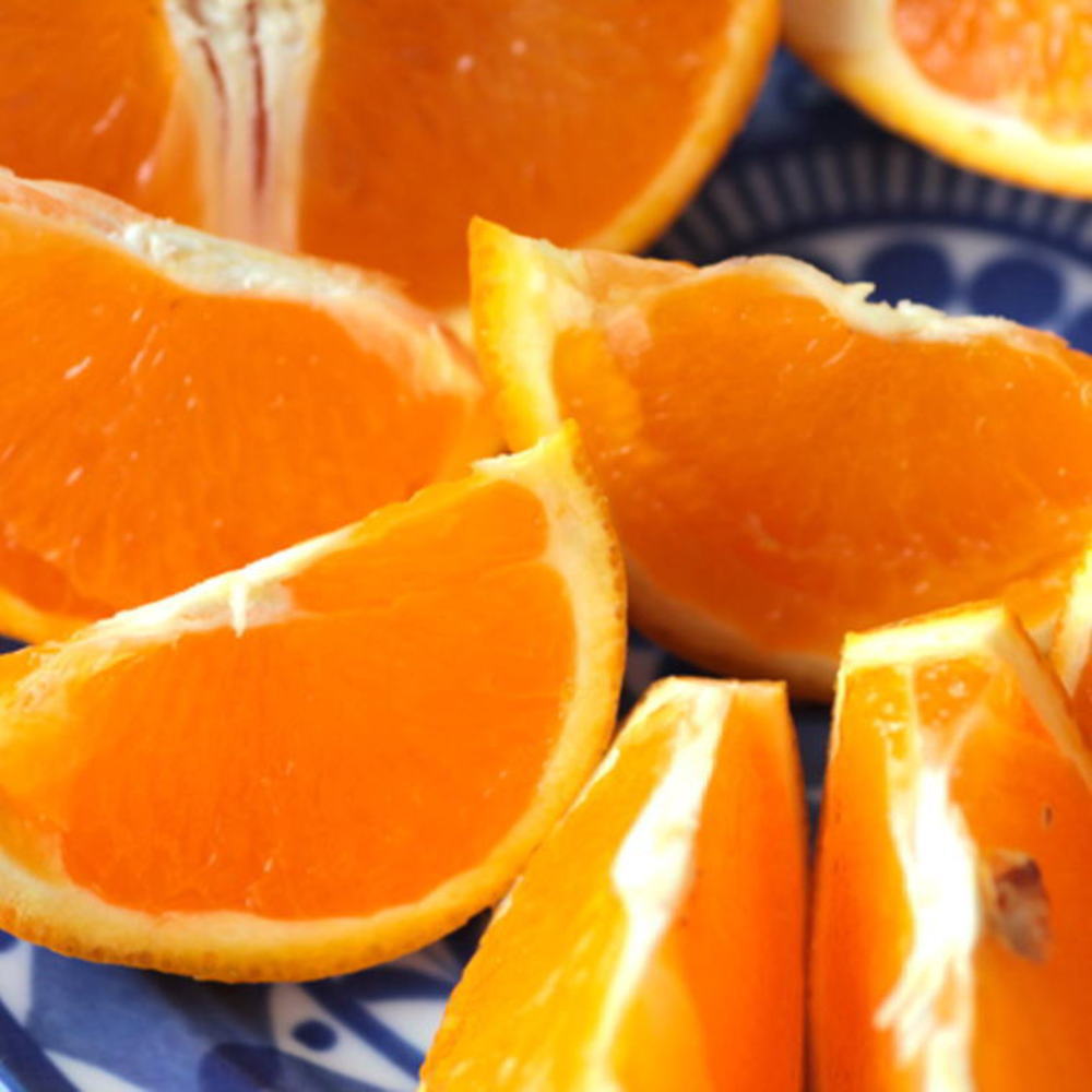 ZD7005_【2026年先行予約】【濃厚】有田産清見オレンジ約5kg（