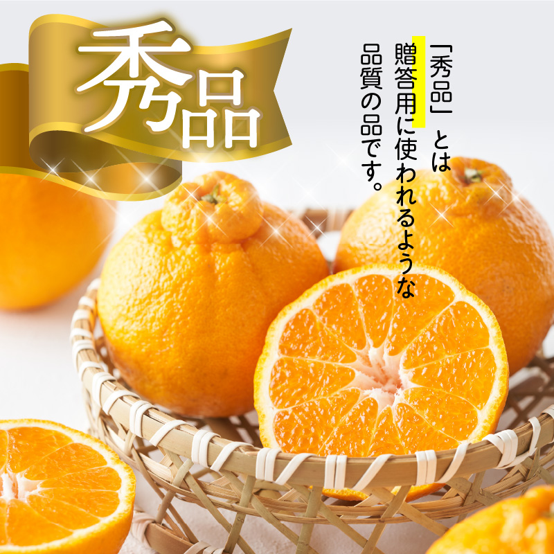 U6300_【2026年先行予約】デコポン 秀品 18玉～24玉 和歌山県有