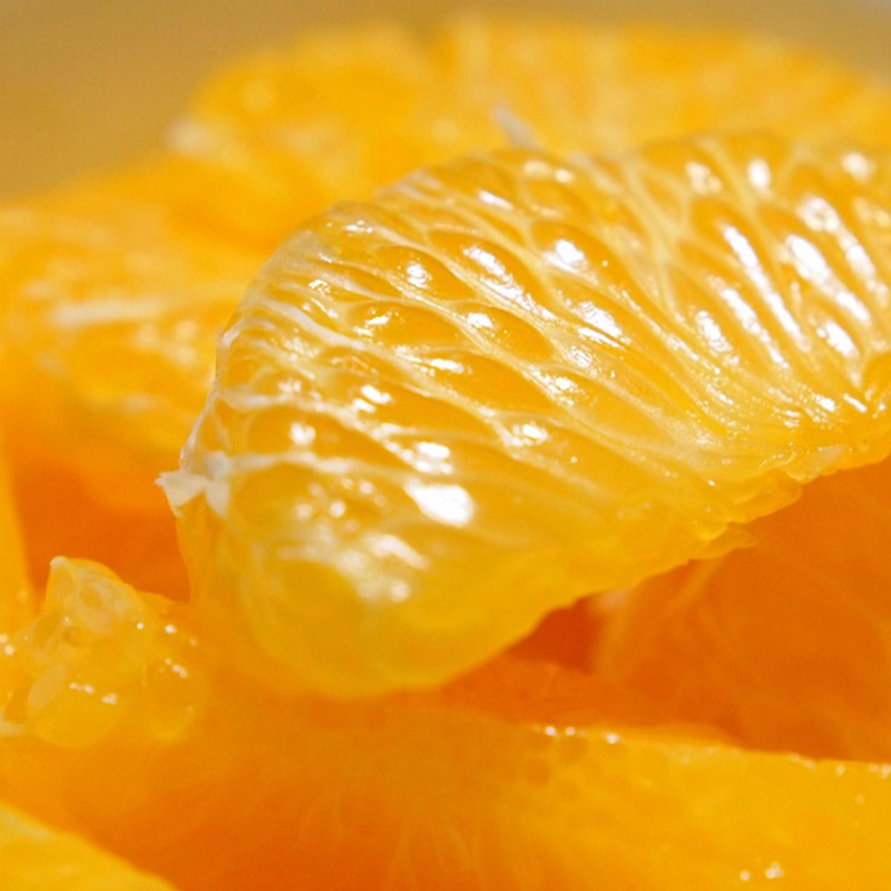 U6301_【2026年先行予約】八朔 秀品 約10kg Lサイズ 和歌山県有