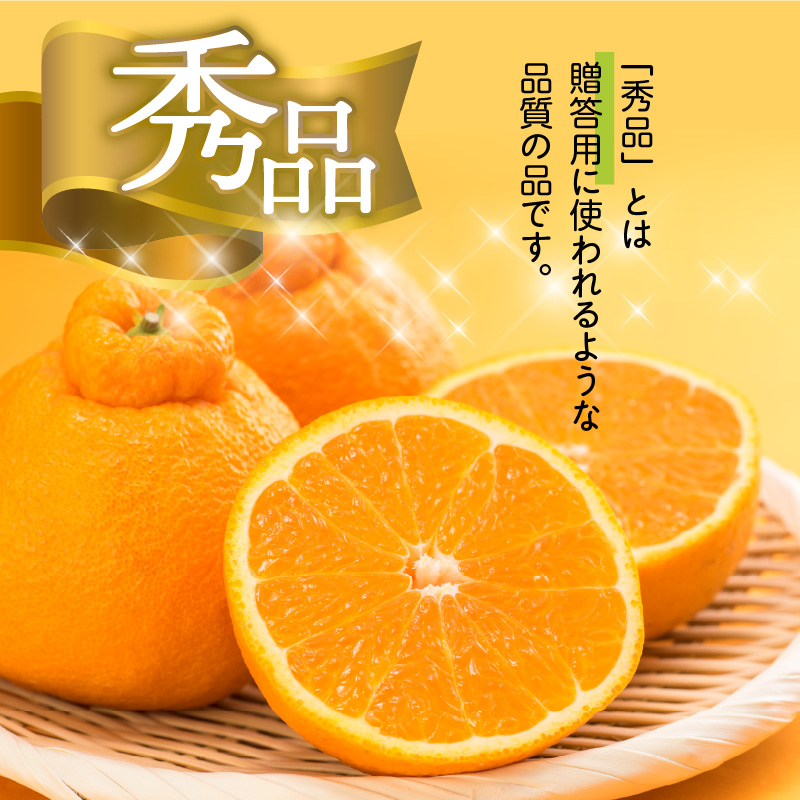 U6306_【2026年先行予約】不知火 しらぬい(デコポンと同品種) 