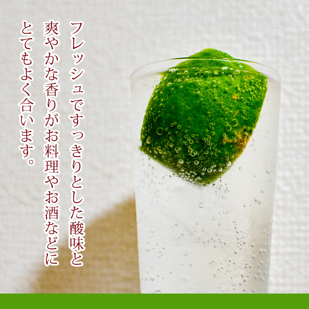 EA6102_綺麗な湧き水で育てたグリーンレモン 5kg (大小混合)