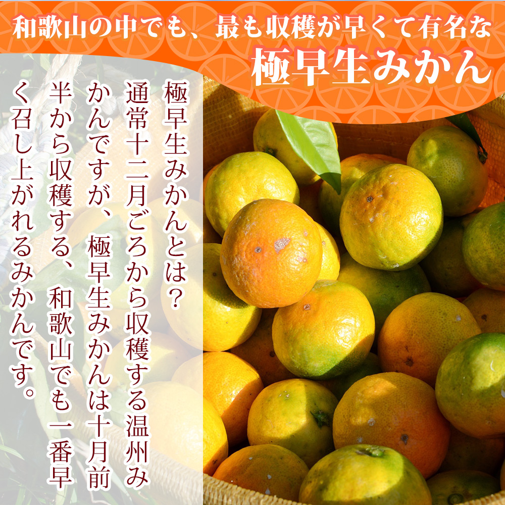 EA6104_【2026年先行予約】和歌山県限定の極早生みかん 3kg (YN-