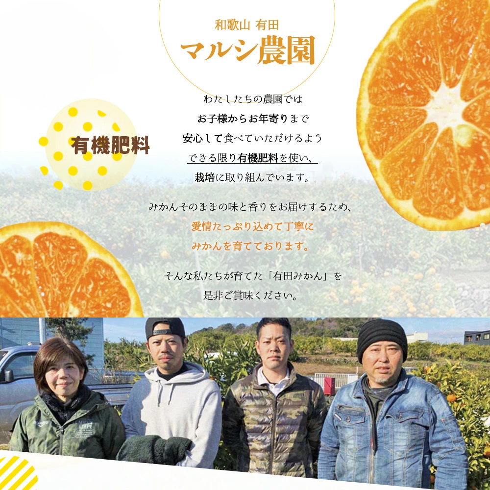 BF6048n_（2026年先行受付）完熟 せとか 赤秀 特選品 9～15玉 化