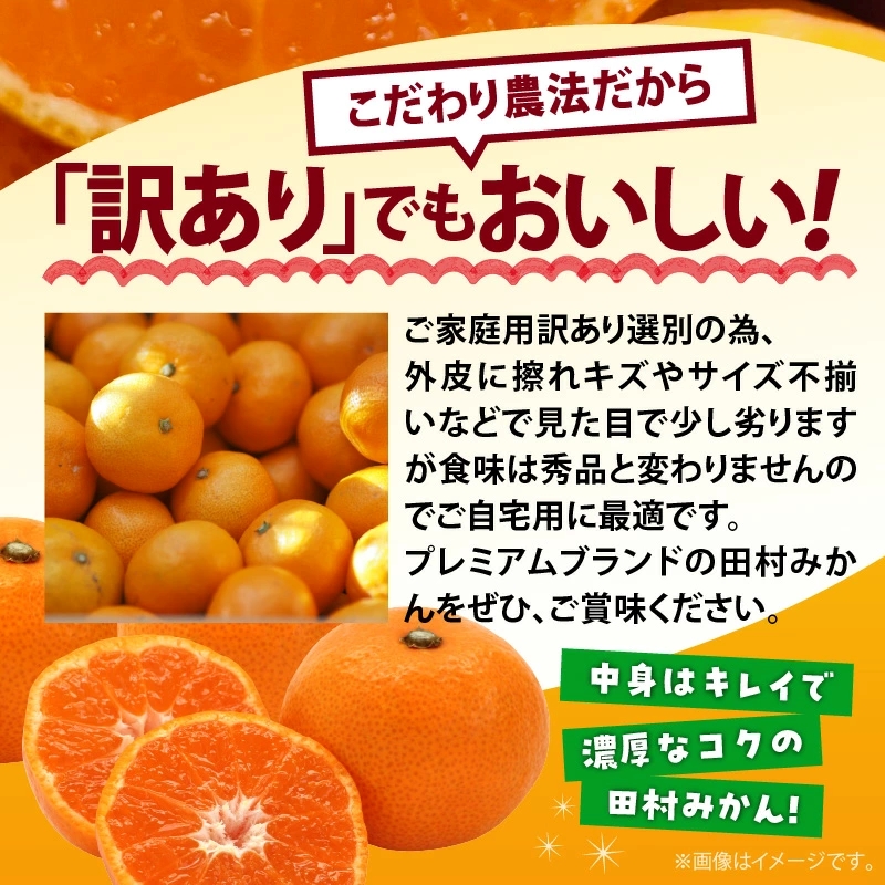 AB7300_ ご家庭用 田村みかん サイズ混合 約10kg わけあり 訳あ