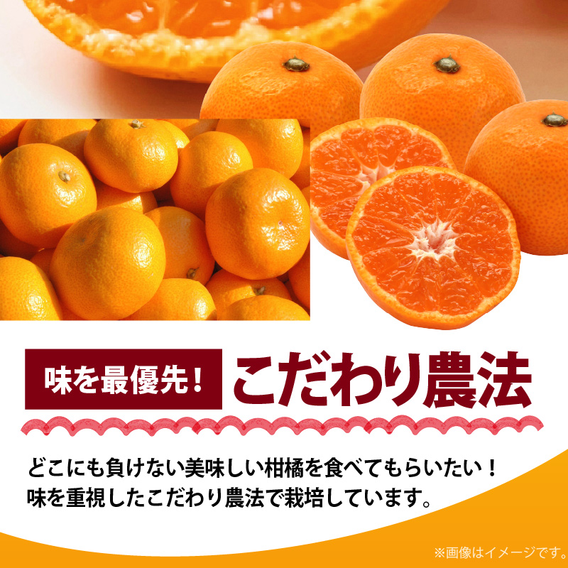 AB7309_ プレミアムブランド 田村みかん Sサイズ 秀品  約5kg _ 