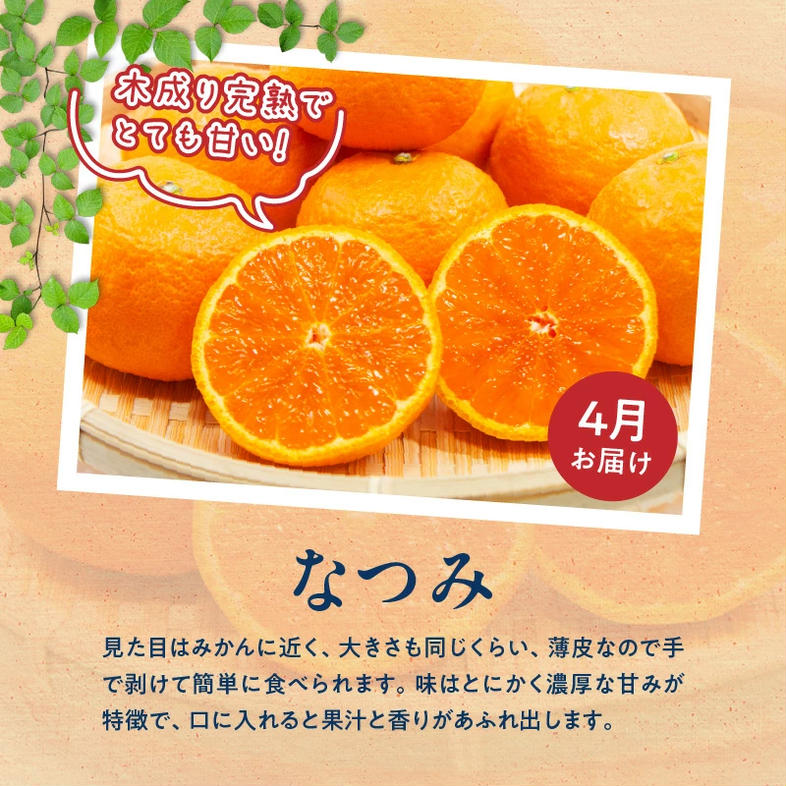 G60-T57_【定期便 全3回】紀州和歌山産旬のフルーツ定期便（