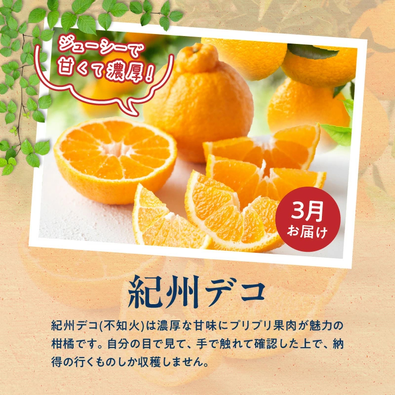 G60-T78_【定期便 全3回】紀州和歌山産旬のフルーツ定期便（