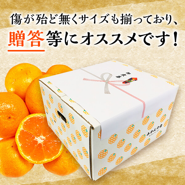 MK1005_みかん Ｌサイズ 秀品 箱込 10kg ( 内容量 9.2kg ) 有田み