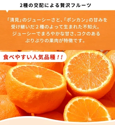 G7357_【2026年先行予約】紀州有田産 不知火 (しらぬい)【家庭