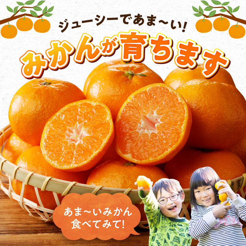 G7339_【2026年11月下旬頃より発送】高級ブランド 秀品 紀州有