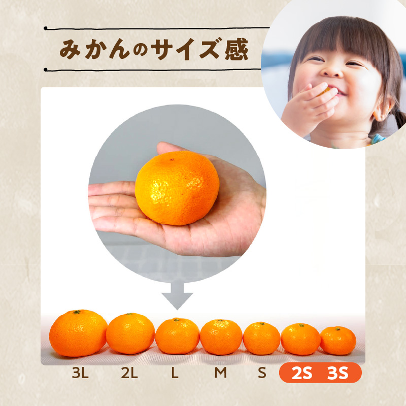 MK1000_みかん とにかく 小玉 箱込 2.5kg ( 内容量 2.3kg ) 2Sサイ