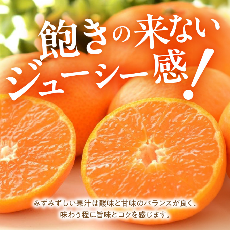 MK1008_【ANA限定】 みかん 食べ比べ お任せ3サイズ 箱込 3kg ( 