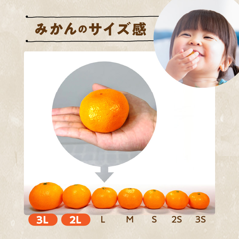 MK1033_みかん 大玉 どっこいしょ 箱込 5kg ( 内容量 4.4kg ) 2Lサ