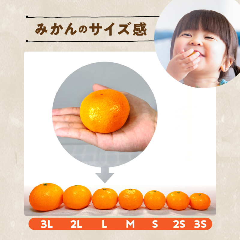 MK1035_訳あり それでも みかん 箱込 5kg ( 内容量 4.4kg ) サイズ