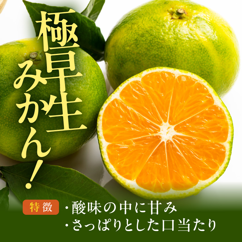 MK1084_【2026年先行予約】訳あり みかん 極早生 箱込 5kg ( 内