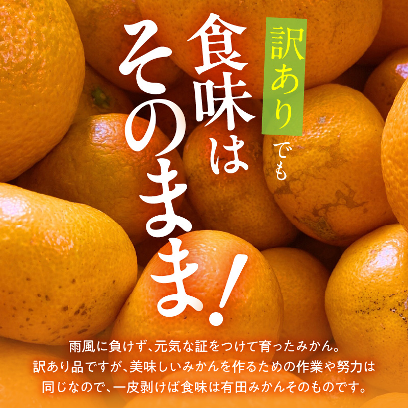 MK1068_【2026先行予約】訳あり ゆら早生 みかん 箱込 5kg ( 内
