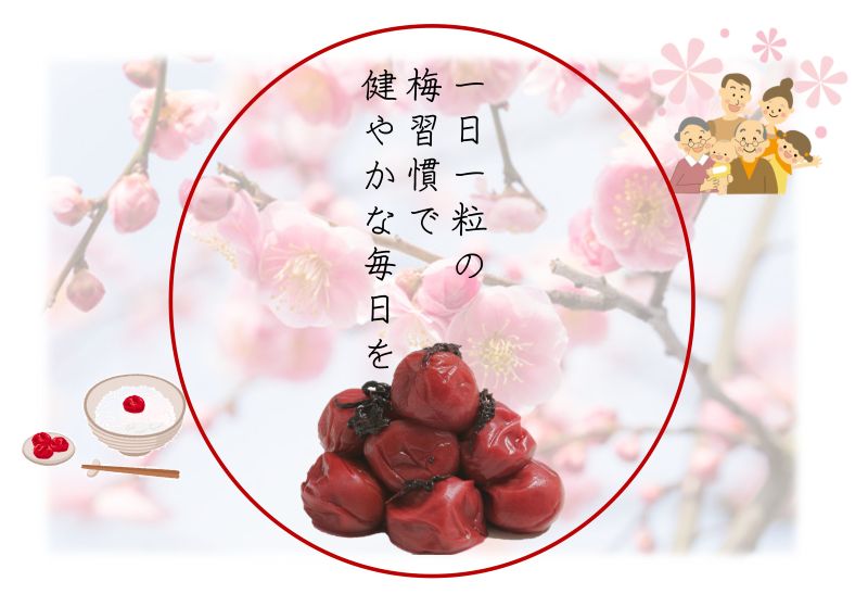 YD1002_紀州南高梅しそ漬つぶれ（塩分約15％）700ｇ×2