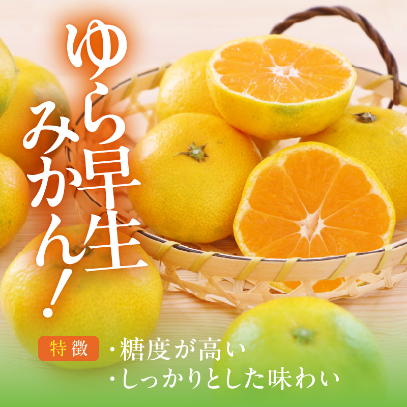 MK1065_ゆら早生 みかん 山から直送 箱込 2.5kg ( 内容量 2.3kg ) 