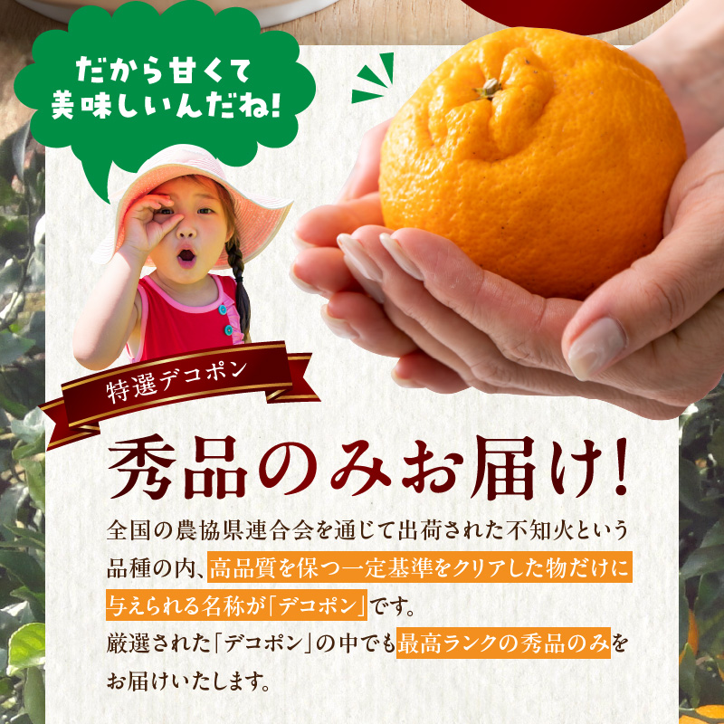 BD7008_【2026年先行予約】和歌山有田産 デコポン秀品のみ！ 2