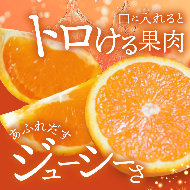 ZD92071_【2026年先行予約】【産直】有田産清見オレンジ 約5kg