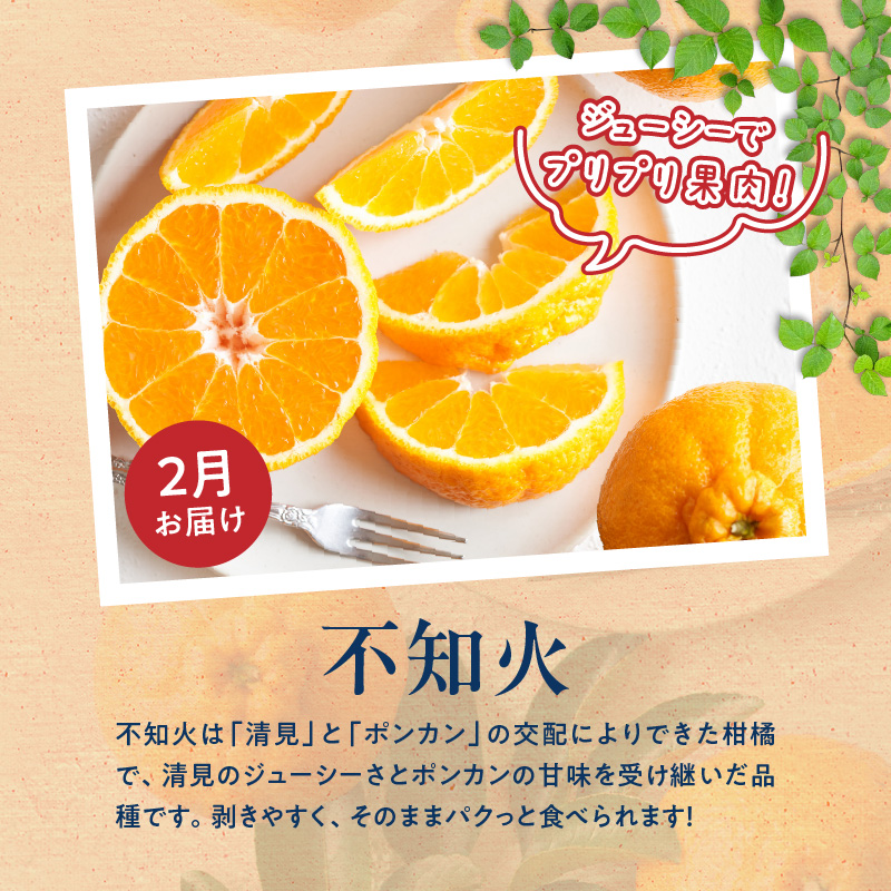 G60-T97_【発送月固定定期便】魚鶴自慢のご家庭用柑橘セット