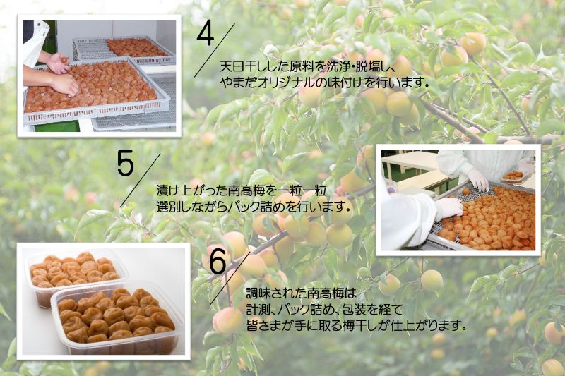 YD1006_紀州南高梅はちみつ極塩分約6％（850ｇ）