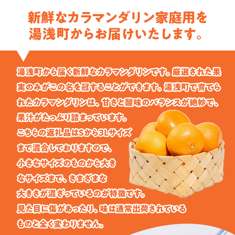 ZE6502_【2026年先行予約】和歌山県産　カラマンダリン　3kg　