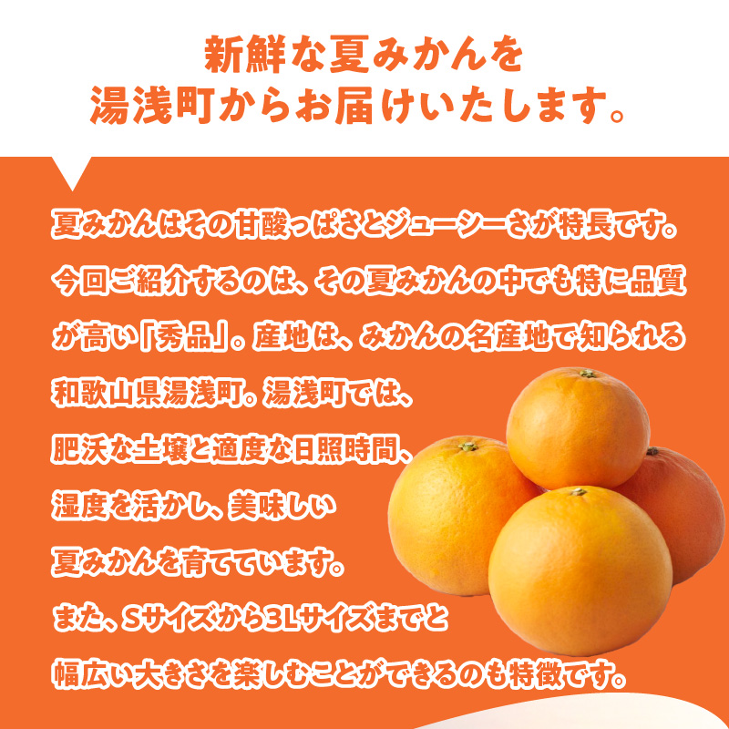 ZE6505_【2026年先行予約】和歌山県産　夏みかん　5kg　秀品