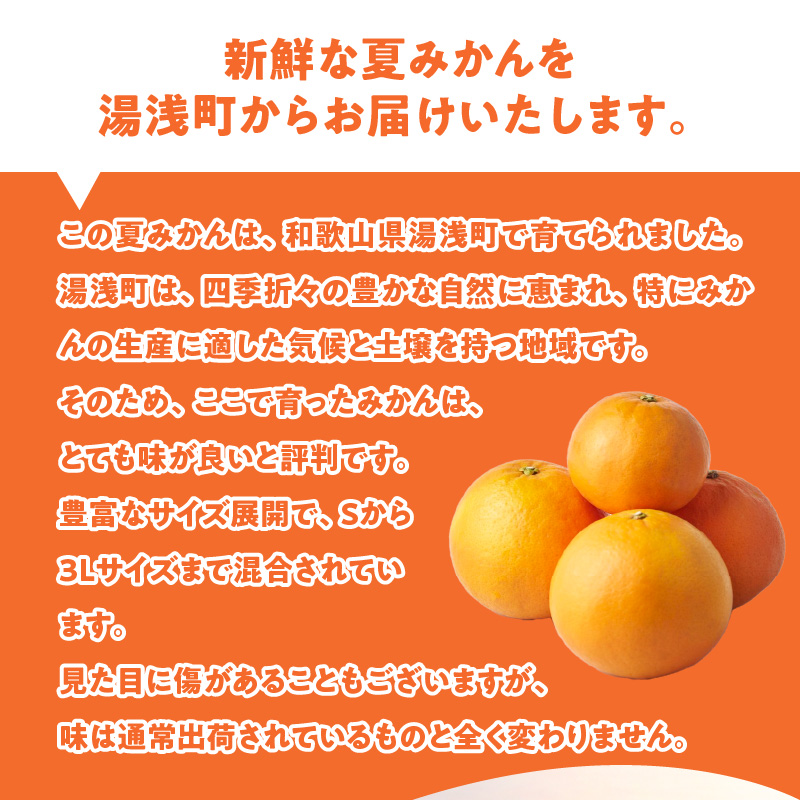 ZE6507_【2026年先行予約】和歌山県産　夏みかん　5kg　家庭用