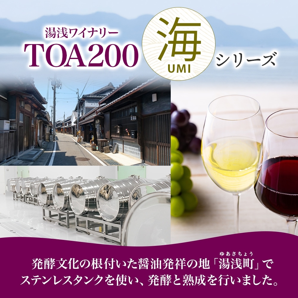 KG1011_赤ワイン TOA200 海 12度 720ml 果実酒 葡萄酒 ぶどう フル