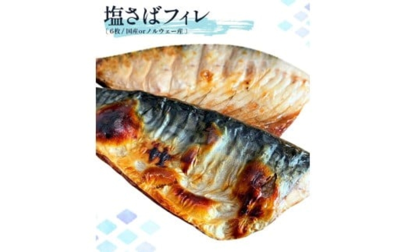 G7319_迷ったらコレ！！魚鶴商店の天然紅サケ 1kg & 塩さば 6
