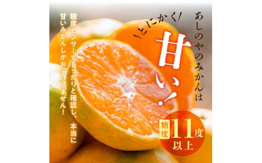 ZE6519_【2026年先行予約】【秀品】和歌山県産　有田みかん 
