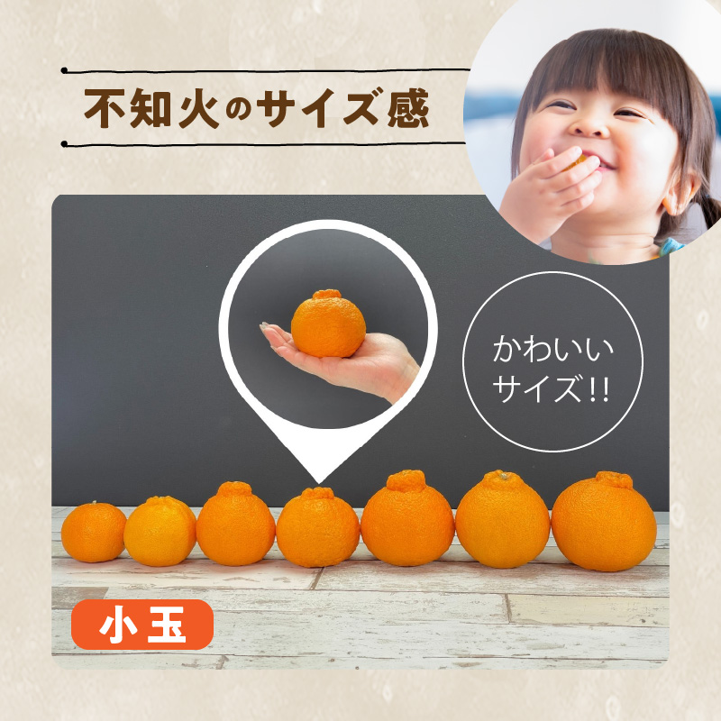 MK1017_不知火 (しらぬい) とにかく小玉 箱込 5kg (内容量約4.4kg