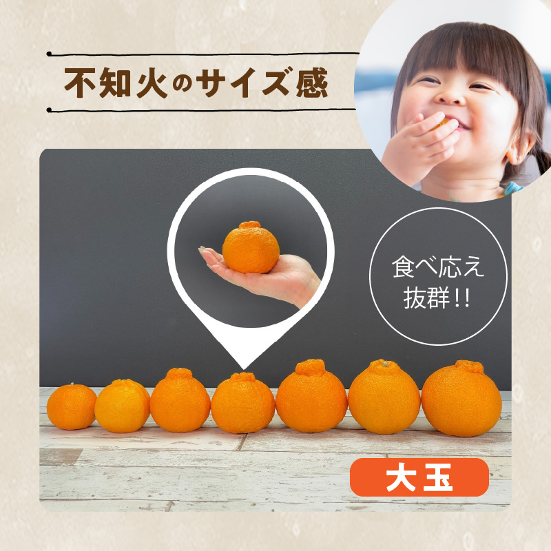 MK1011_不知火 (しらぬい) とにかく大玉 どっこいしょ 箱込 5kg