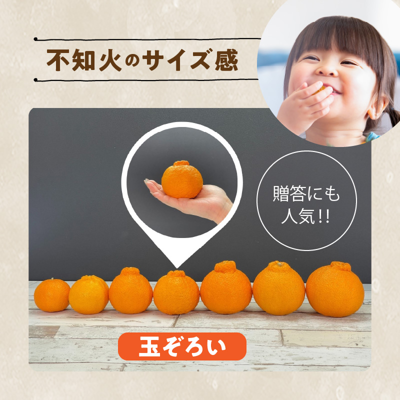 MK1010_不知火 (しらぬい) 秀品 玉ぞろい 箱込 10kg (内容量約9.2