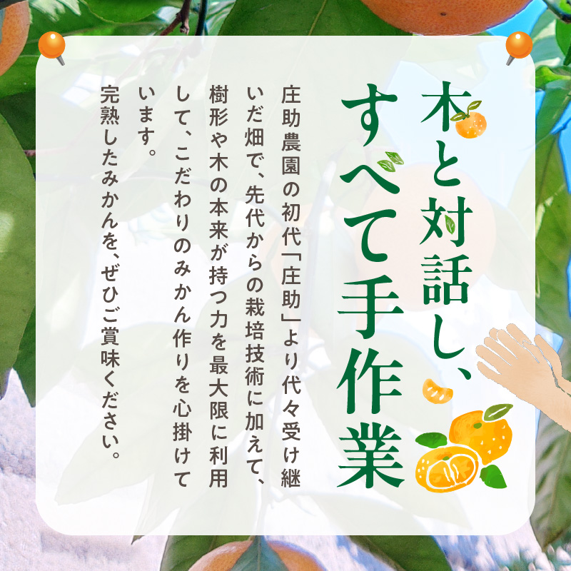 BK6018_【2026年先行予約】庄助みかん (家庭用・サイズ混合) 
