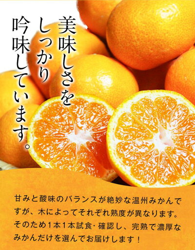 G7345_【2026年11月下旬より発送】紀州 有田産 濃厚甘熟 温州