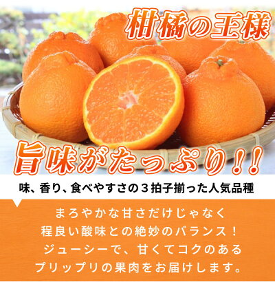 G7360_【2026年先行予約】デコポン 紀州デコ 3kg 完熟 濃厚 国