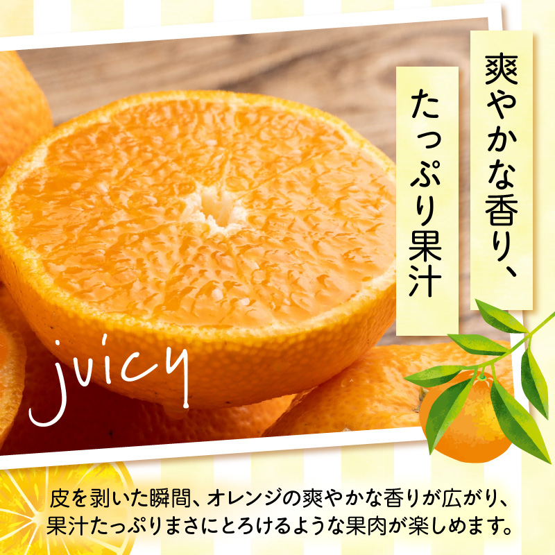 ZN6001n_【2026年先行予約】和歌山県有田産 完熟 清見オレンジ