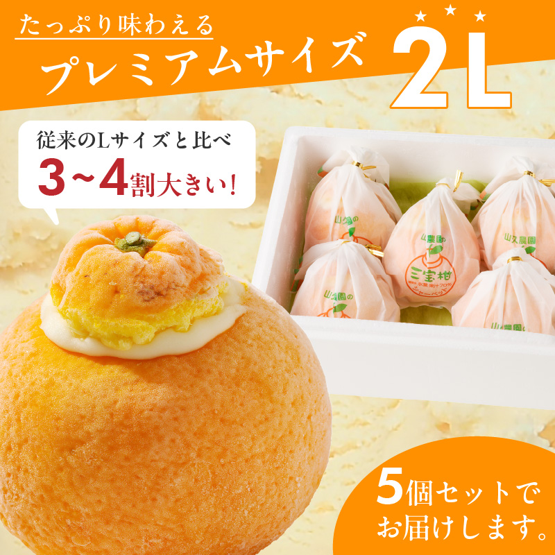 ZP6009n_まるごと三宝柑シャーベット 5個 セット