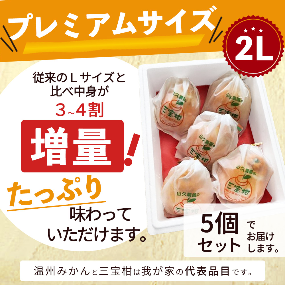 ZP6009_GFTn_【ギフト用】まるごと 三宝柑 シャーベット 5個 セ