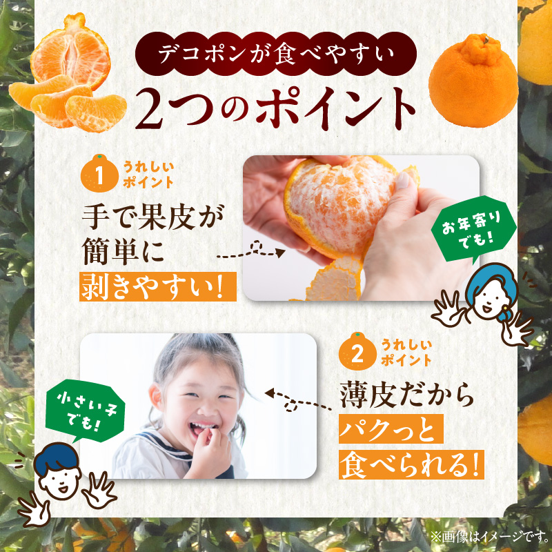 BD6004n_【2026年先行予約】デコポン 秀品 約 5kg 18 ～ 24玉 不知