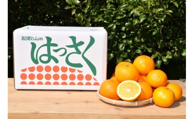 ZE6073n_【2026年先行予約】有田の八朔 (はっさく) 10kg（Sサイ