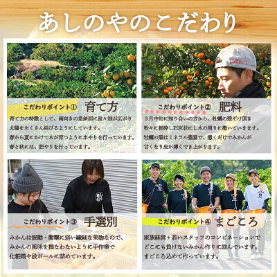 ZE6167n_【2026年先行予約】有田の八朔 (はっさく)【訳あり　