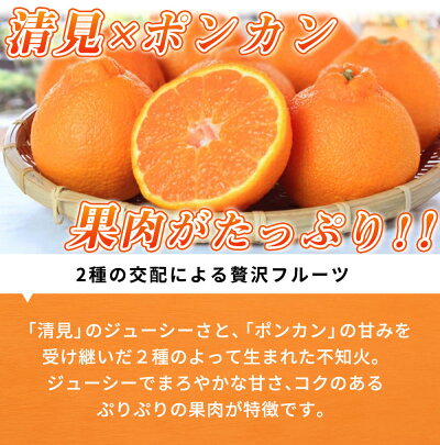 G7356_【2026年先行予約】不知火 5kg デコポン 柑橘の王様 甘い