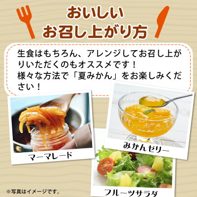 G7074_【2026年先行予約】湯浅産 夏みかん 7.2kg