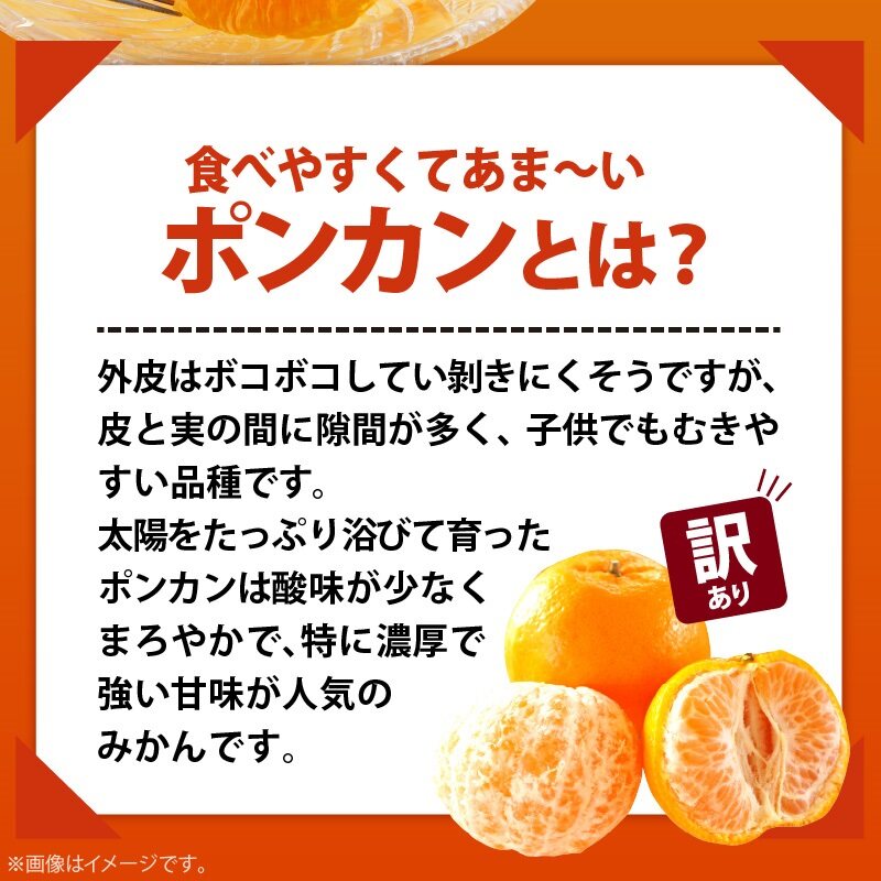 AB6010n_【極甘柑橘】有田育ちの 濃厚 ポンカン 【訳あり 家