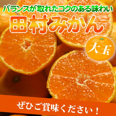 G7052_【2026年11月下旬より発送】高級ブランド 田村みかん 10k