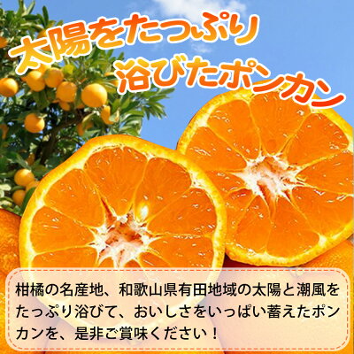 G7055_【2027年先行予約】紀州和歌山有田産 ポンカン 5kg